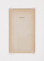 https://robinwaart.nl/files/gimgs/th-51_51_content-zo-laten-en-warp-tot-recht-2x-rw08-correctie-2-very-large-file-with-layers-to-stretch-correctly-new-hue-for-web.jpg