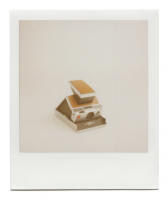 https://robinwaart.nl/files/gimgs/th-85_85_112-sx-110719-1554-hrs-norderstedt-de-1977-1986-polaroid-sx-70-land-camera-alpha-1-silver-brown-leather-1977-1986-6838-eur.png