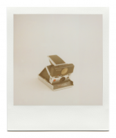 https://robinwaart.nl/files/gimgs/th-85_85_133-sx-110827-1446-hrs-bergisch-gladbach-de-1980-1986-polaroid-land-camera-time-zero-sx-70-autofocus-indication-on-front-top-1980-1986-2905-eur.png